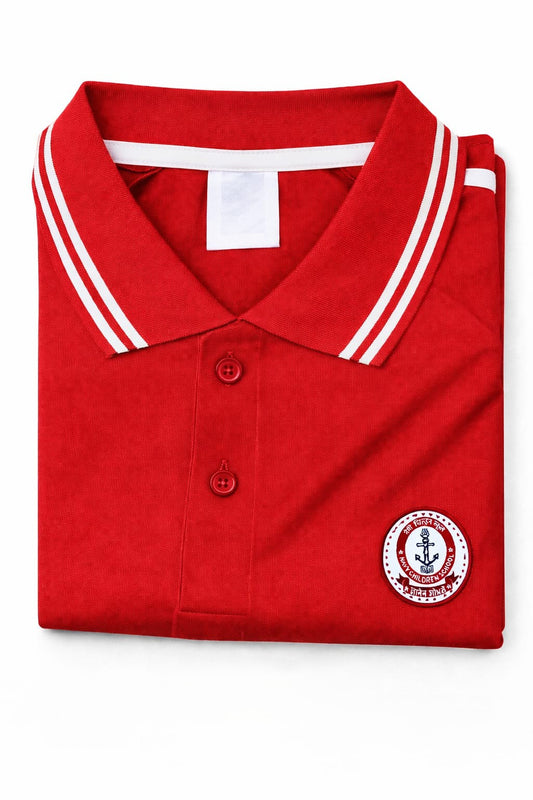 Sports T-shirt  (4 House Colours)